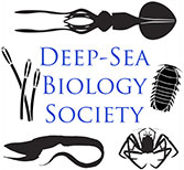 Deep-sea Biology Society logo